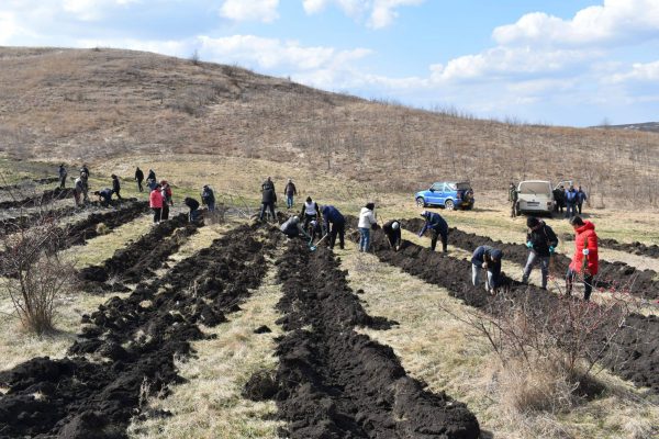 653706128_2517292692061544_314628520655031623_n