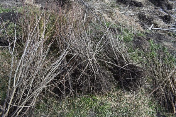 653709642_2517290888728391_9028084952081874408_n