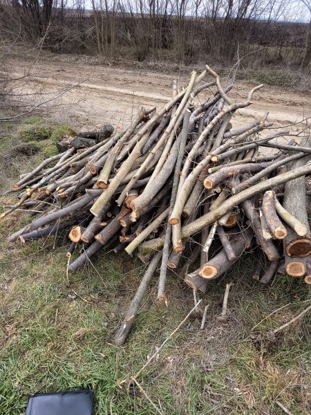 653711428_1232122892425715_2607590476377043704_n