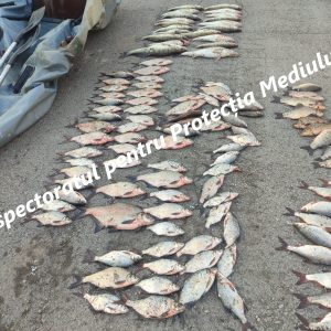 653714466_1232172092420795_4099091300028039844_n