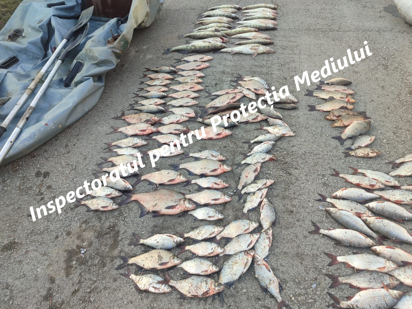 653714466_1232172092420795_4099091300028039844_n