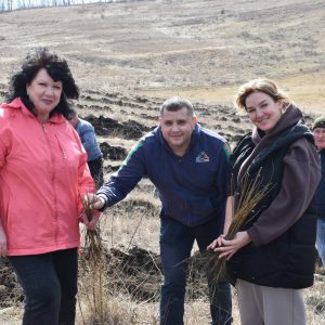 656228764_2517290608728419_1591574001860211821_n