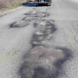 656993984_1365880982243611_14086401648657229_n