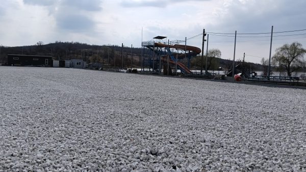 657259102_981824411187028_4889193763827672011_n