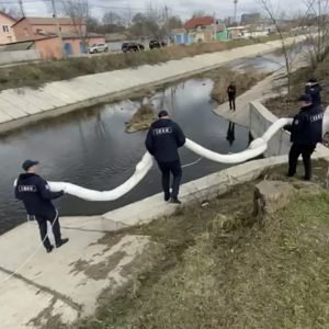 657297493_1236808305290507_1828571000389869450_n