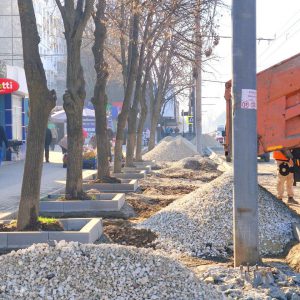 657348416_980749851294484_6219239217333733301_n