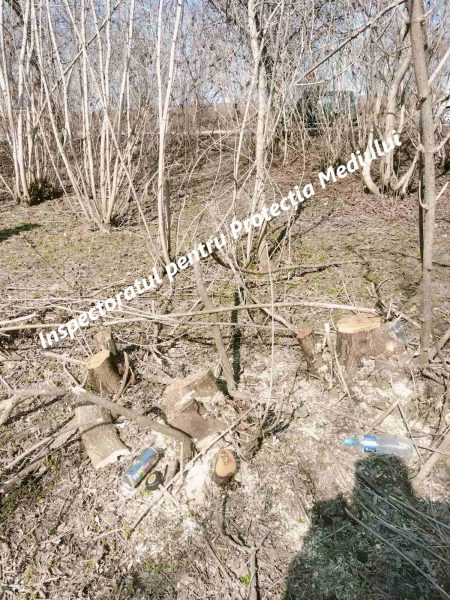 657662133_1238617558442915_4016853413827403554_n