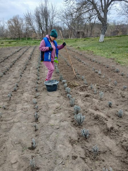 657937889_1428230582682337_4940307539404303914_n