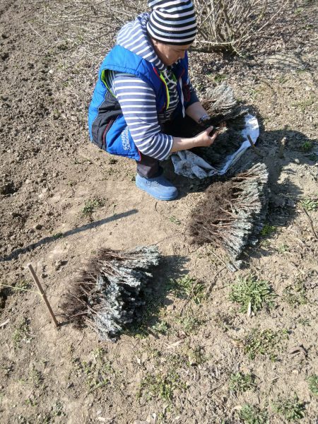 658920933_1428230486015680_5111318528935495245_n