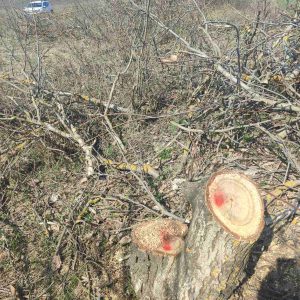 658931568_1243428601295144_310275138229139291_n