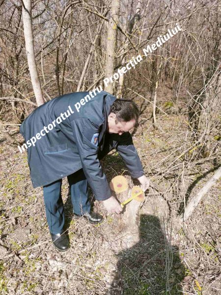 658967457_1238617561776248_4245506139866746050_n