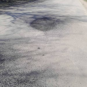 658978158_1365880822243627_5668812491121059248_n