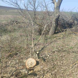 660271979_1243428597961811_607670582050022956_n