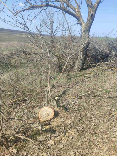 660271979_1243428597961811_607670582050022956_n