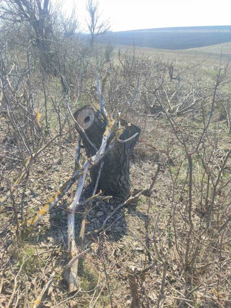 663370847_1243428631295141_101780374067520974_n