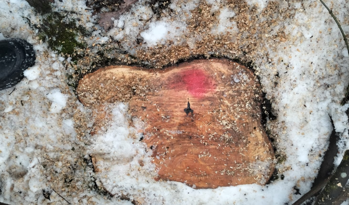 Screenshot 2026-03-02 103225