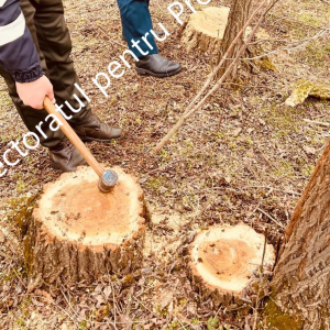 Screenshot 2026-03-04 115117