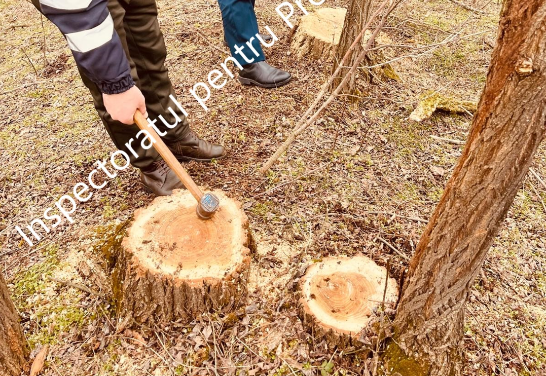 Screenshot 2026-03-04 115117