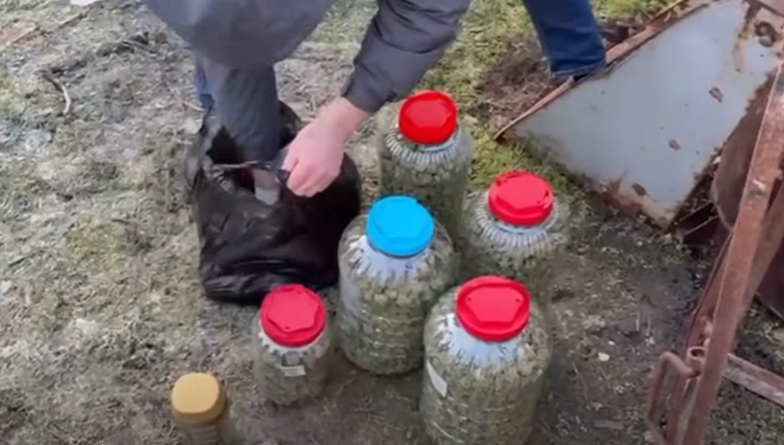 Screenshot 2026-03-16 095158