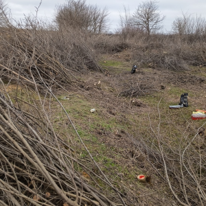 Screenshot 2026-03-17 142952