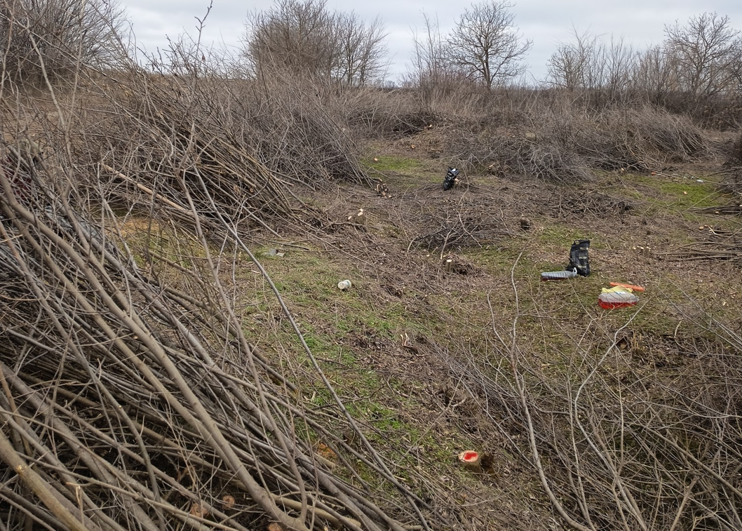 Screenshot 2026-03-17 142952