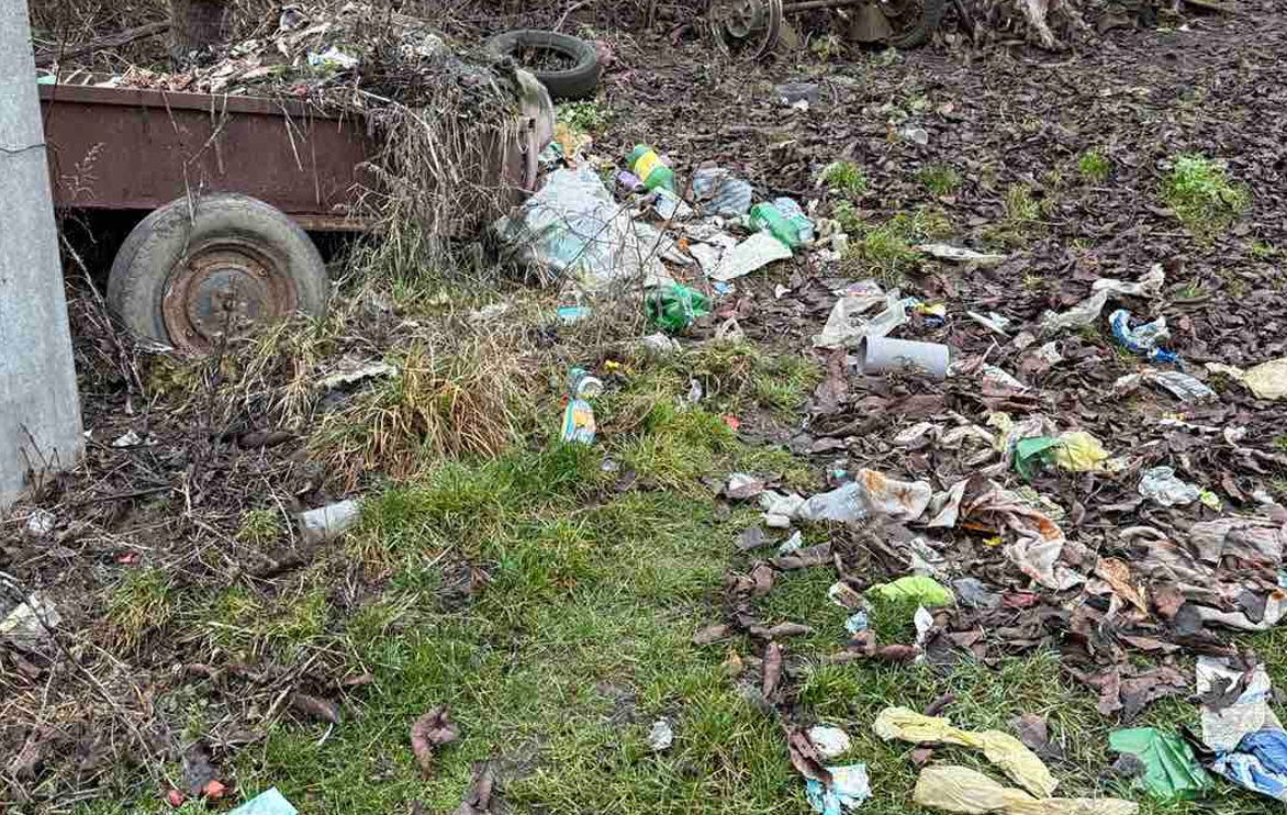 Screenshot 2026-03-24 111659