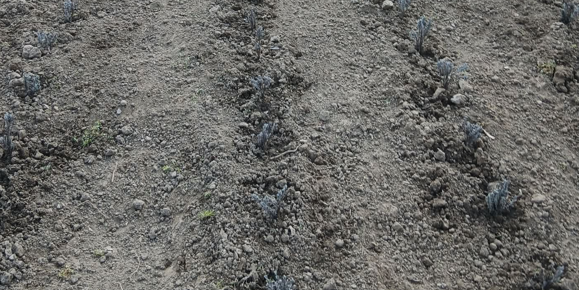 Screenshot 2026-03-31 100338