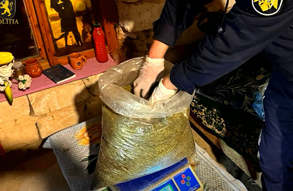 Screenshot 2026-03-31 101638