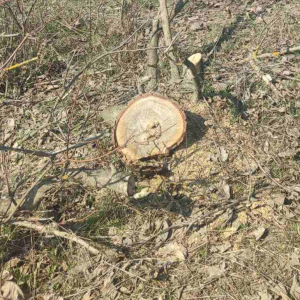 Screenshot 2026-03-31 143527