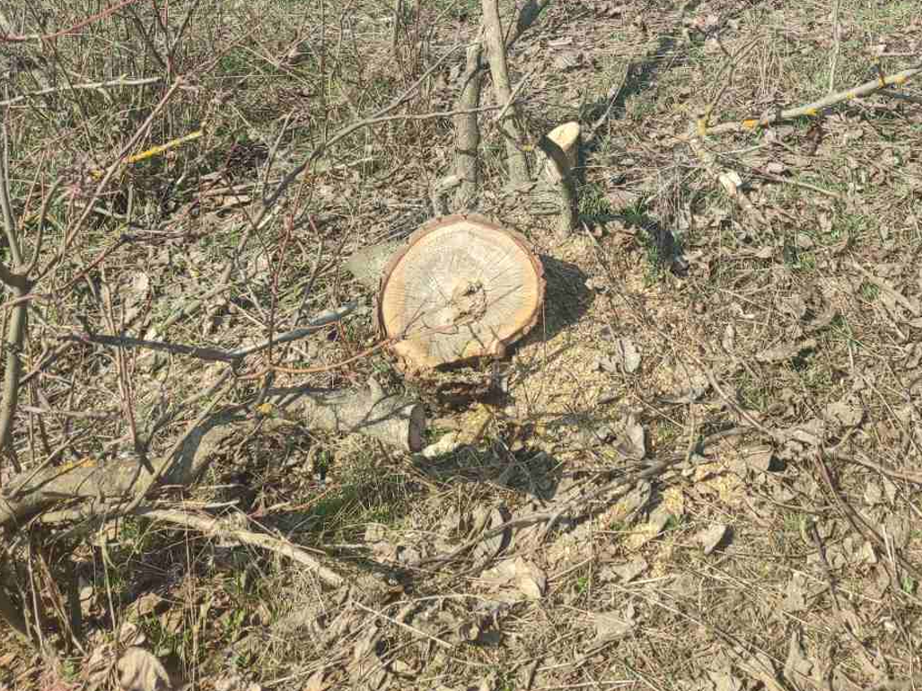 Screenshot 2026-03-31 143527