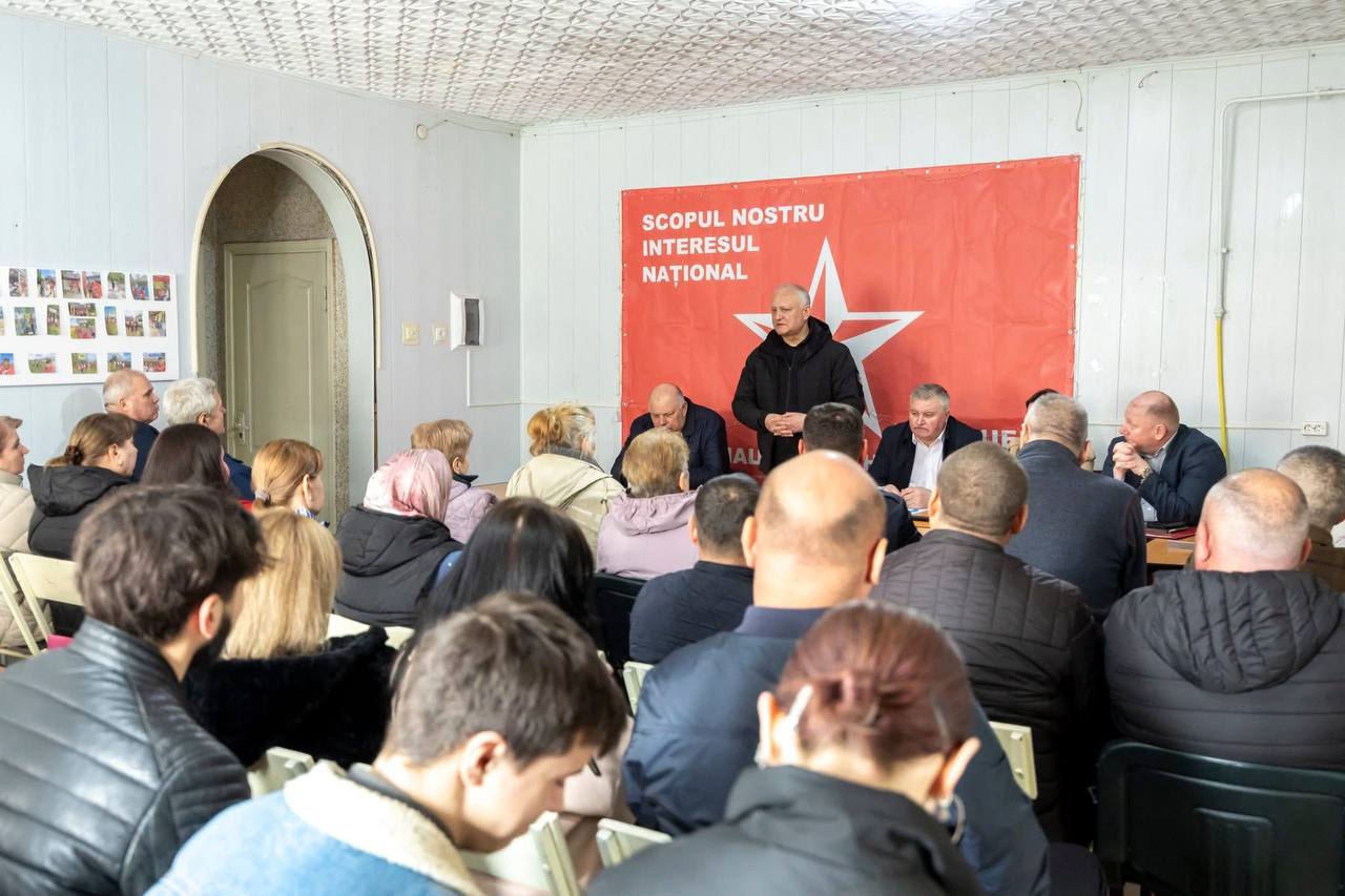 photo_5336850457512580201_y