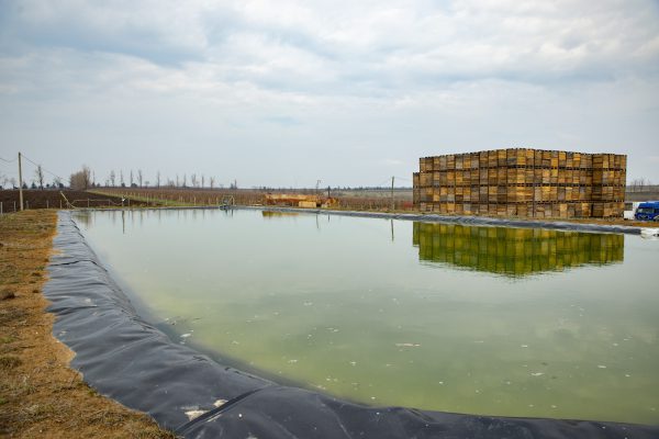 657356876_1361632122665259_8877247774242826704_n