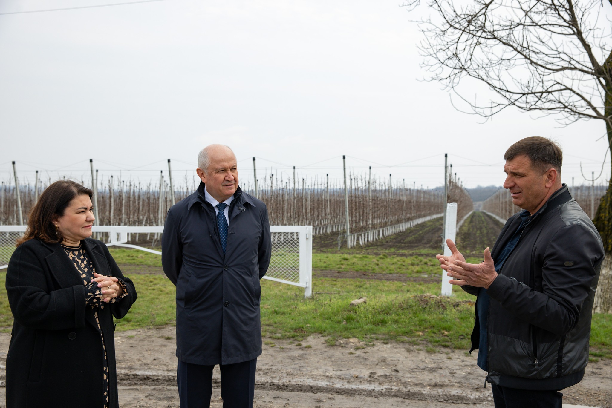 660128890_1361632225998582_6520864791585359081_n