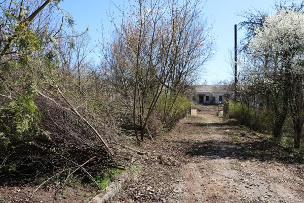 663350259_1266322382350044_8957248710502753888_n