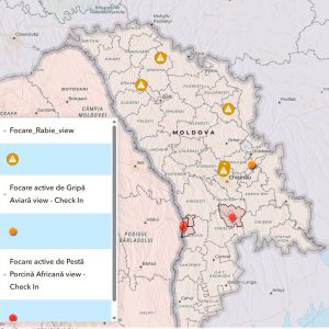 666479183_1246904407618260_9139654560618443842_n