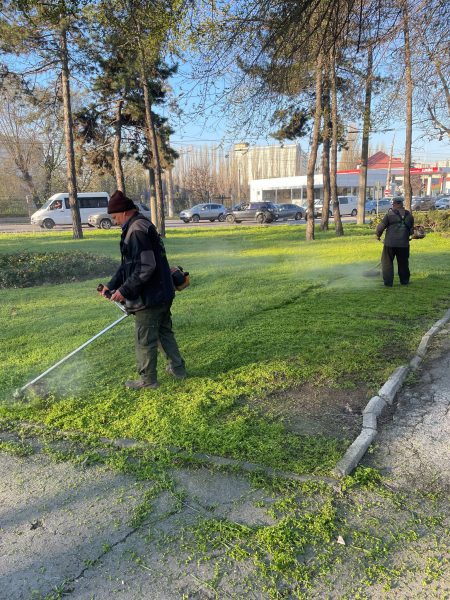 666863184_1392397609600332_5446366923683696020_n