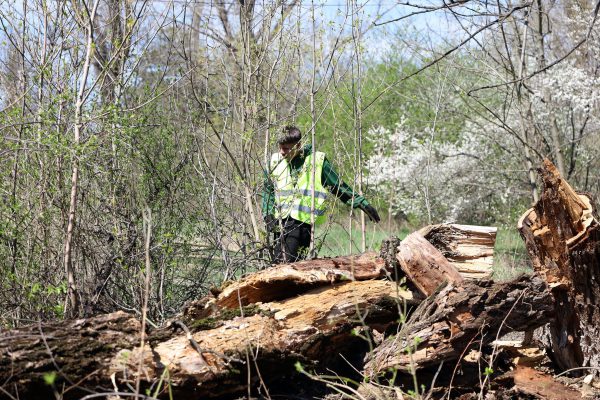 667543315_1266322415683374_1643451087847516210_n