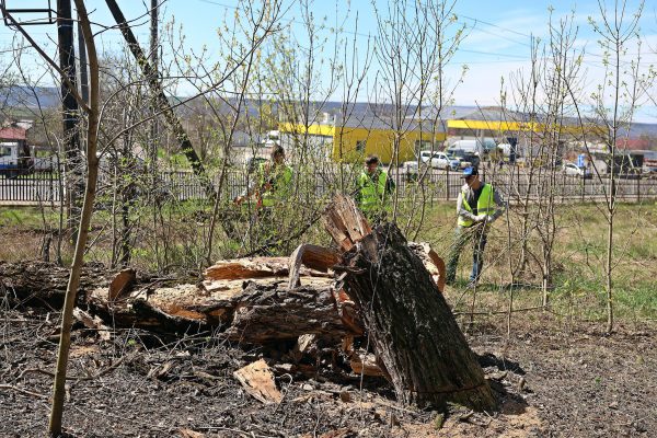 667687434_1266322952349987_1273996988346675016_n