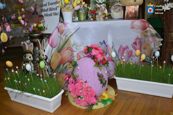 667703059_1812964960026451_2608999314730771463_n