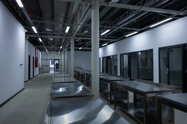 667737787_1342399567933764_7765824611794836025_n