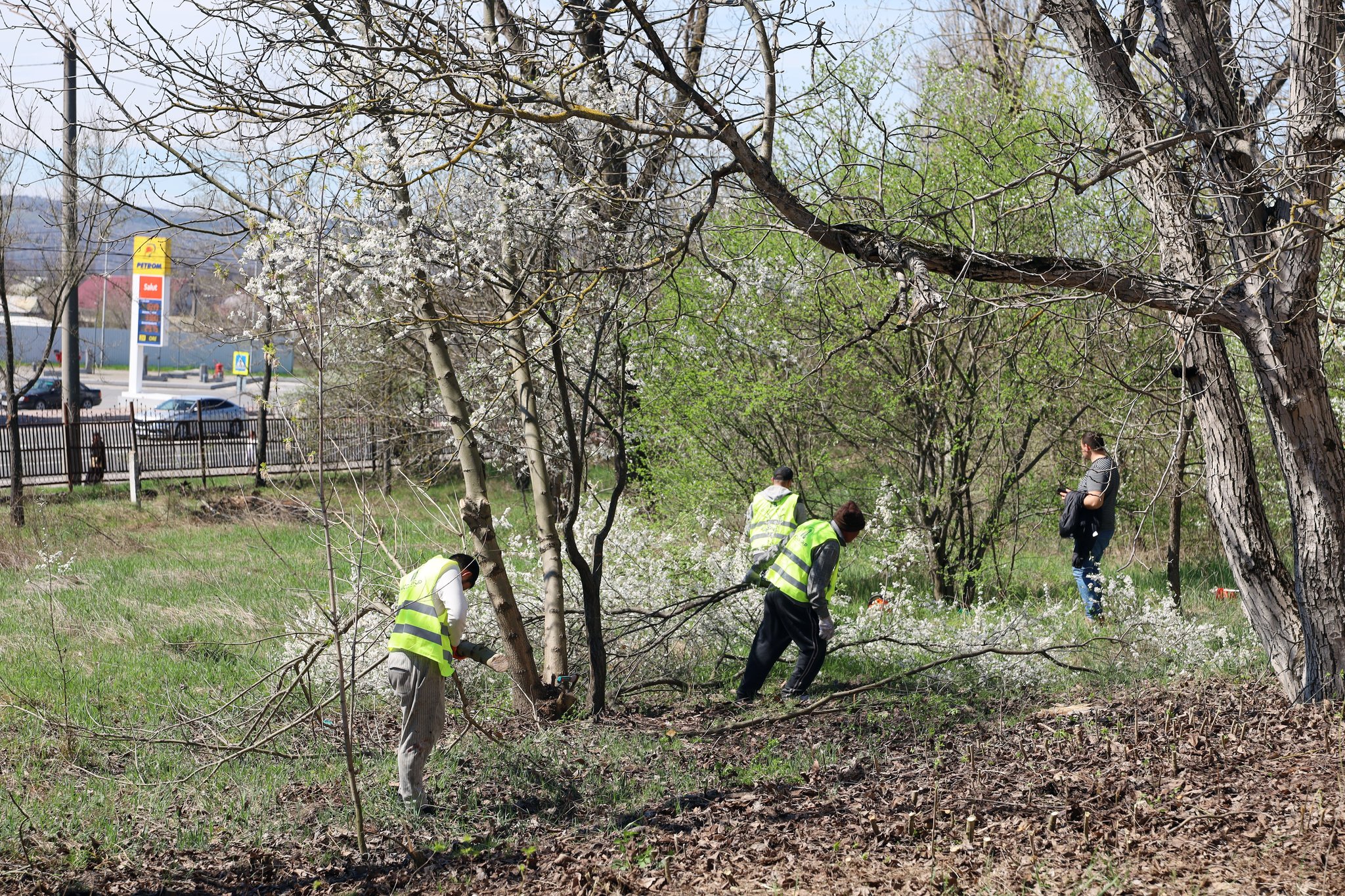 667844056_1266322895683326_2136208567373517430_n