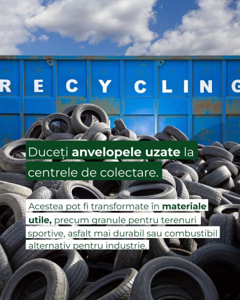 668121662_1334934058694070_6255415384259739310_n