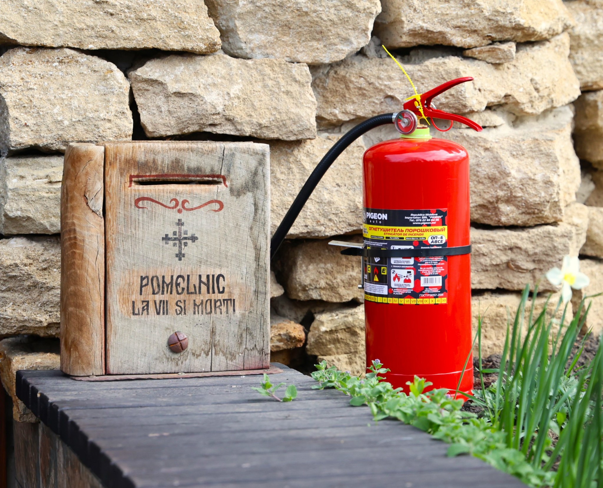 668160025_1352033653629349_3425728022896077787_n