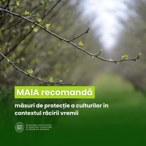 668351907_1402860701870659_4301850229442196279_n