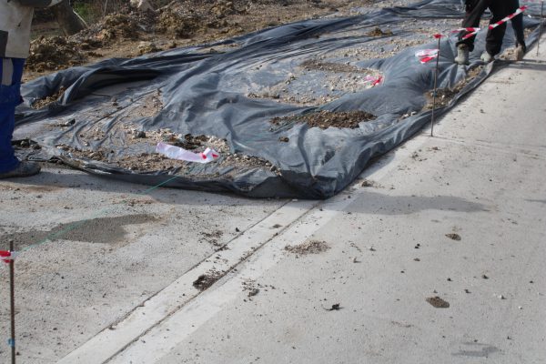 668648145_1482129213700207_3318222064882632689_n