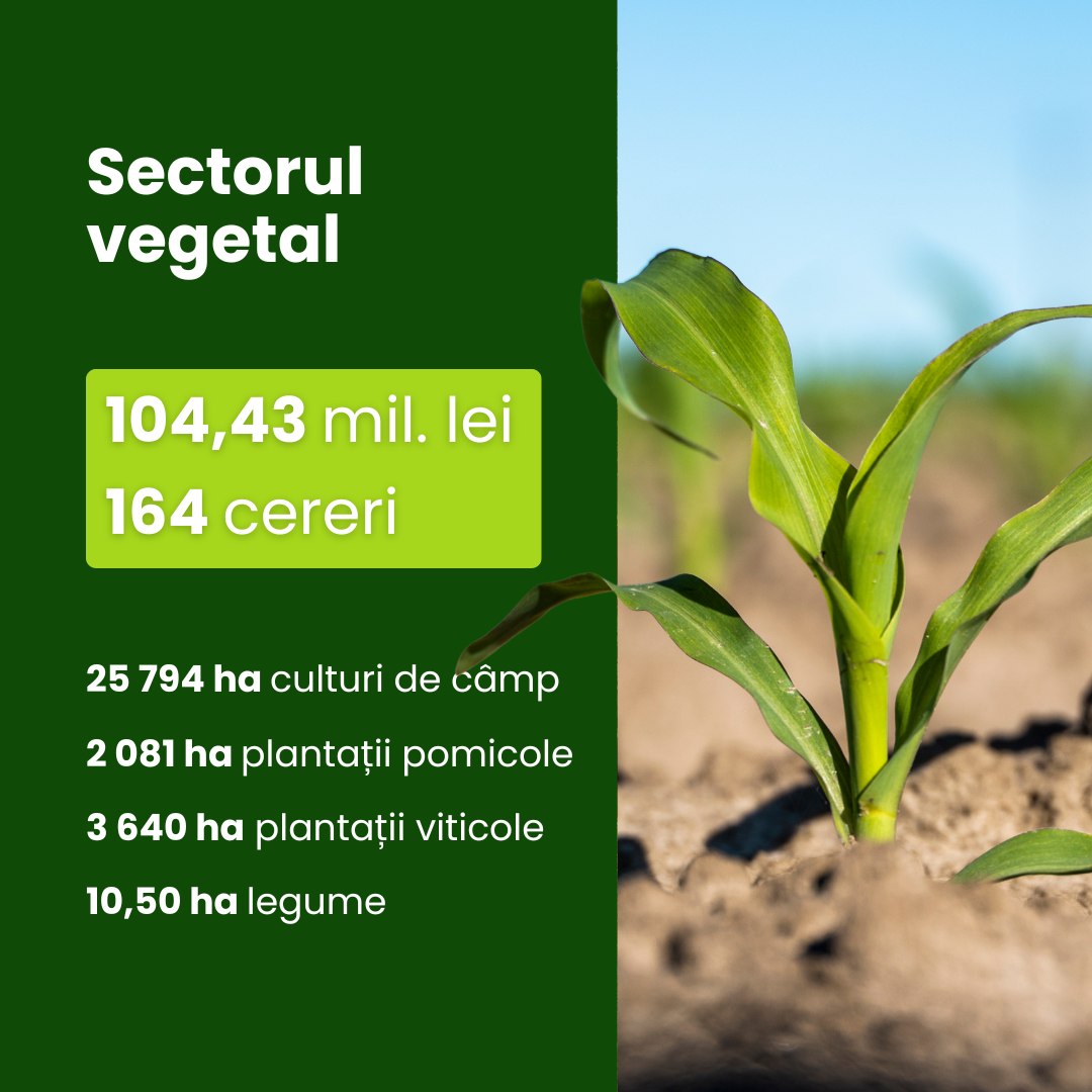 668809092_1403894358433960_5555368153333268133_n