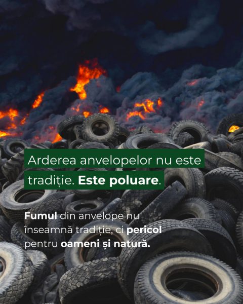 668825777_1334934032027406_4322051778554489383_n