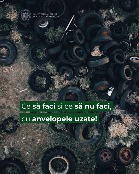 669603445_1334933965360746_5747525692186681464_n