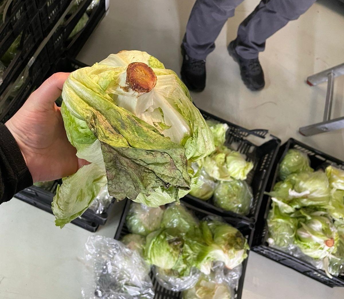 672328999_1253540753621292_4446390584635043717_n