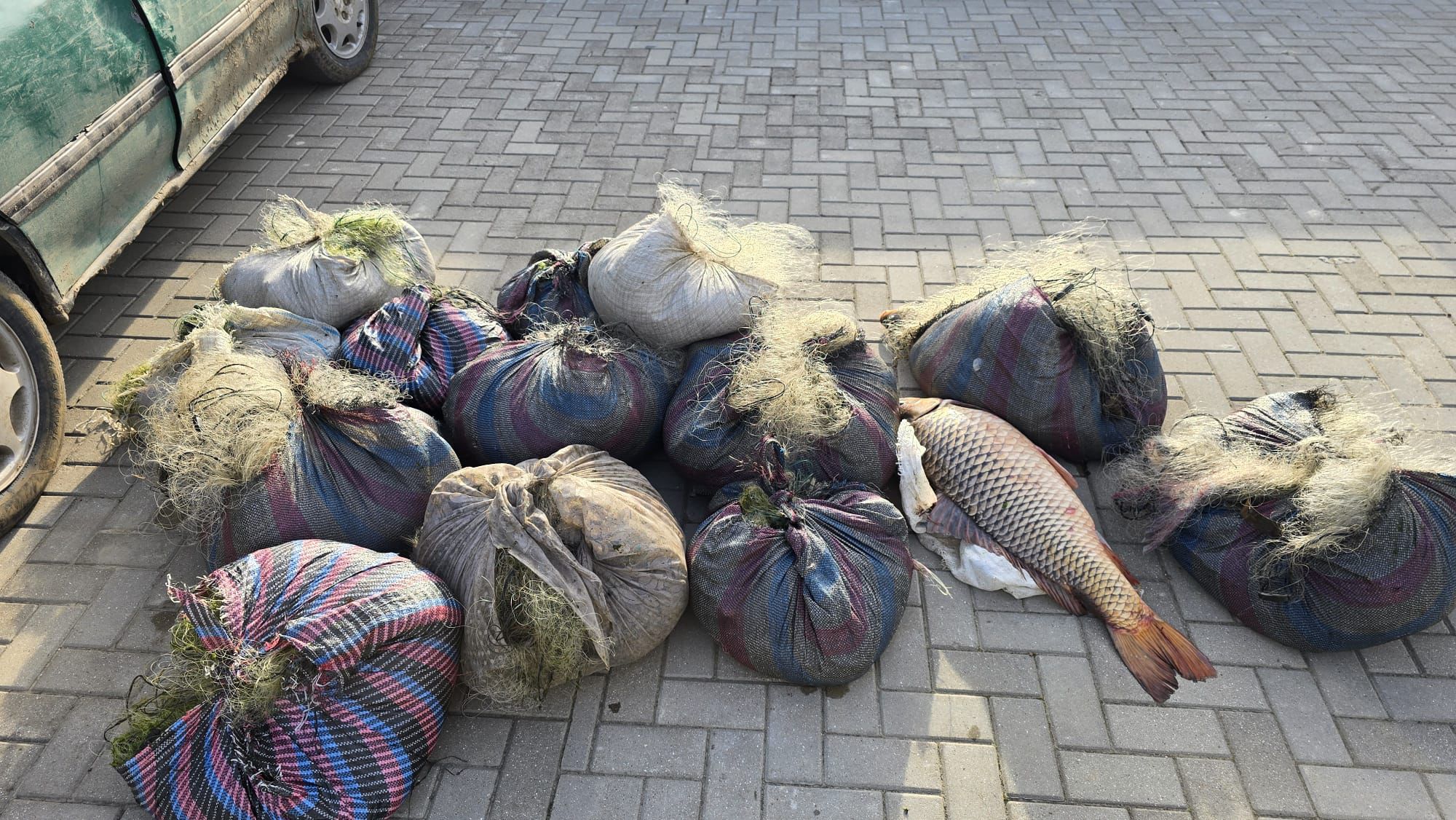 672685716_1390109646486414_1633326501359728908_n